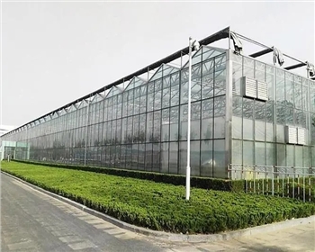 四川溫室大棚種植有哪些優(yōu)點是你還不知道的？